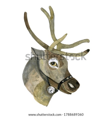 Santa's reindeer watercolor illustration of deer's head close-up