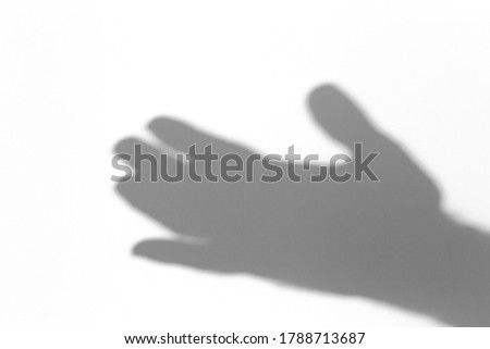 Shadow overlay effect for photo. Shadows from hand palms on white light wall in sunlight.