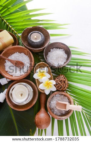 Healthy Concept. Spa relax Treatments on green plam background.



