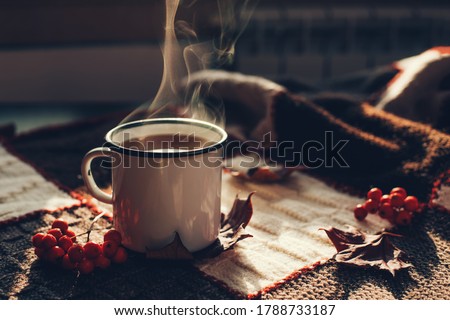 Hot steaming cup of coffee or tea with fall leaves and spices on a warm plaid on a bright Sunny day. Autumn mood. Front view.