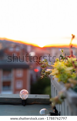 Romantic Sunset view over the Bologna Cityscape with flowers on the balcony. Orange warm sunset sky illustrative picture with details. Bologna, Italy, Europe.
