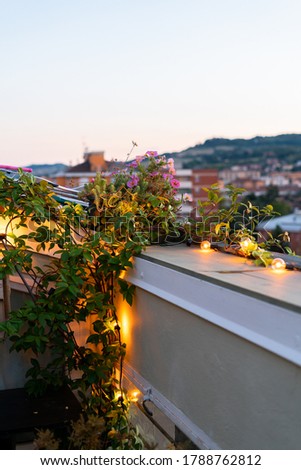 Romantic Sunset view over the Bologna Cityscape with flowers on the balcony. Orange warm sunset sky illustrative picture with details. Bologna, Italy, Europe.