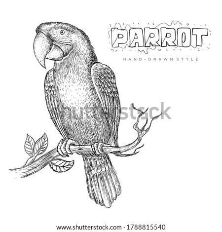 vector parrot perched on a tree trunk, illustration of a hand-drawn animal