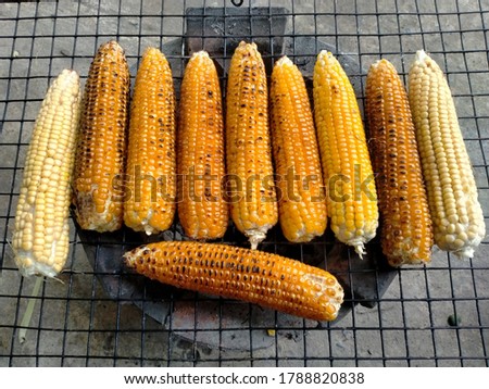The picture of a yellow corn on the grill grilled on a stove to cook.