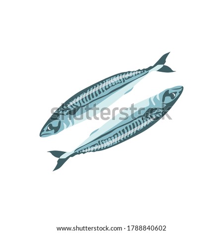 Mackerel, saury, herring fresh sea fish. Delicious seafood menu, fish market design. Organic natural healthy nutritious food cartoon vector illustration isolated on white background