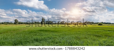 Panoramic view of a Belgian nature and meadow landscape during sunset. Beautiful grass field in the countryside. Royalty-Free Stock Photo #1788843242