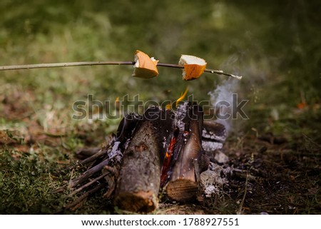 small picnic by the fire in the forest