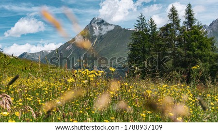 High mountain landscape in the alps