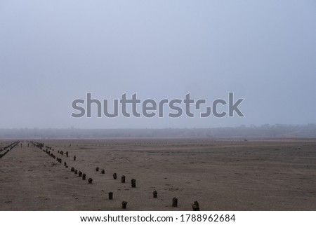 Dried bottom of a salt lake on a foggy morning. Remains of an old wooden pier. Logs sticking out of the sand.