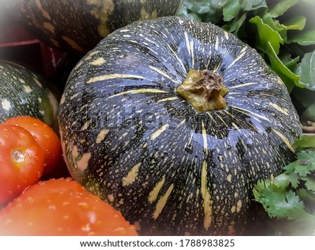 fresh dark green shining pumpkin vegetable closeup picture