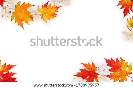Autumnal frame of maple leaves, cotton flowers, dry white flowers orchid on white background with space for text. Top view, flat lay