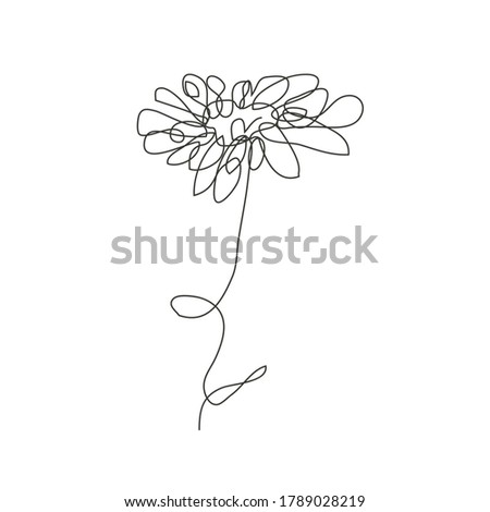 Decorative hand drawn chamomile flower, design element. Can be used for cards, invitations, banners, posters, print design. Continuous line art style