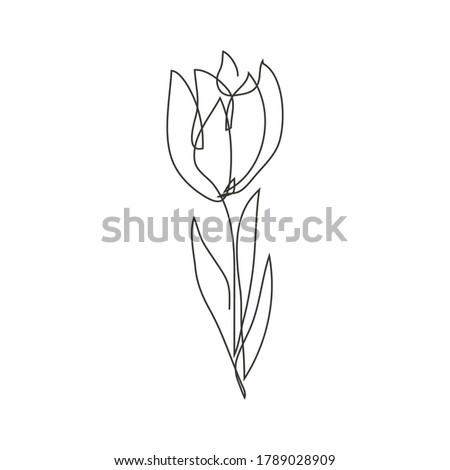Continuous line decorative hand drawn tulip flower, design element. Can be used for cards, invitations, banners, posters, print design