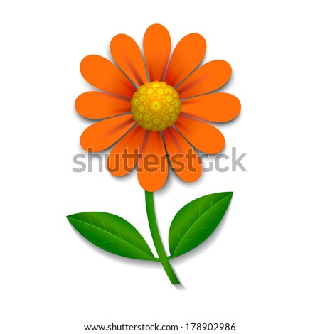 Red flower isolated on white, design element, vector