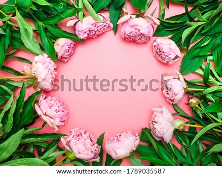Natural garden pink peonies on a pink background, top view, copy space, flat lay. Monochrome flower arrangement for a greeting card, invitation or greeting. Mock up greeting cards for the designer.