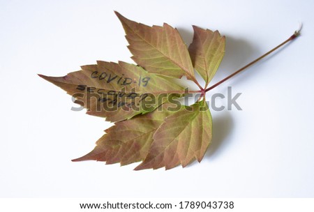 The second wave of coronavirus occurs in autumn and winter. Autumn leaves on a white background with the inscription covid -19 Second wave