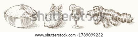 Ginger root, Chopped rhizome, Fresh plant, Bag and tea in glass cup. Vector Engraved hand drawn sketch. Pieces of ingredient set. Detox spice. 