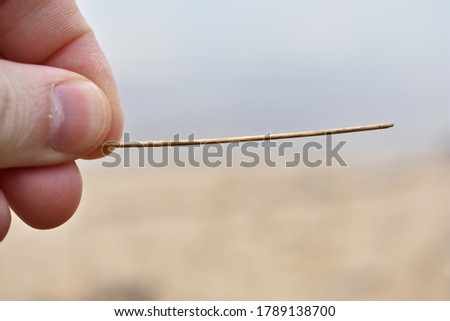 little wand in a man's hand