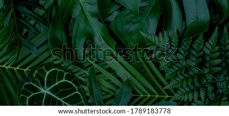 Abstract green leaves nature texture background. Creative layout for design