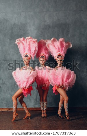 Three Women in cabaret costume with pink feathers plumage. Royalty-Free Stock Photo #1789319063