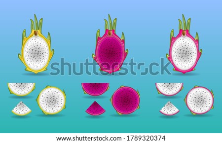 Vector Dragon fruit, pitaya or pitahaya is summer tropical fruits for healthy with half and slice pieces set isolated and shadow on background. 