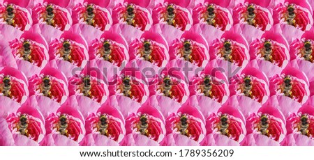 Seamless background pattern digitally generated from summer sunny peony flowers and fat bumble bees 