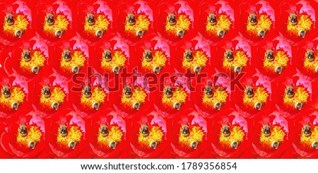 Seamless background pattern digitally generated from summer sunny peony flowers and fat bumble bees 