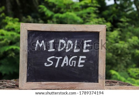 Middle Stage (India's New Education Policy 2020) Written On Chalkboard with White Chalk