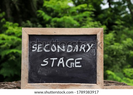 Secondary Stage (India's New Education Policy 2020) Written On Chalkboard with White Chalk