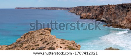 Group of southern right whales swimming in an area protected by the cliffs. Mothers and babies in the nursery area at winter time. Panoramic picture. Nullarbor, Head of Bight, Australia