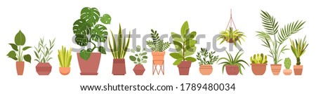 House plants home decor vector illustration set. Cartoon potted green plants flowers collection, houseplants in clay pot, hanging decorative flowerpots isolated on white background Royalty-Free Stock Photo #1789480034