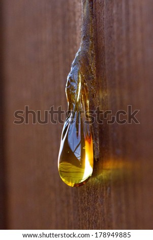 Amber drop
