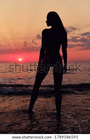 Full length image during bright sunrise red glowing sun posing on the beach on coast. Perfect shape slim body long hair female silhouette on nature background
