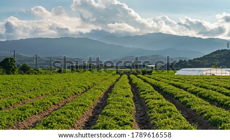 This is a picture of a farm in the Korean countryside.
There are no problems with property rights with the photos I took.