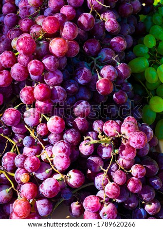  Red grapes. The background is natural. Texture.