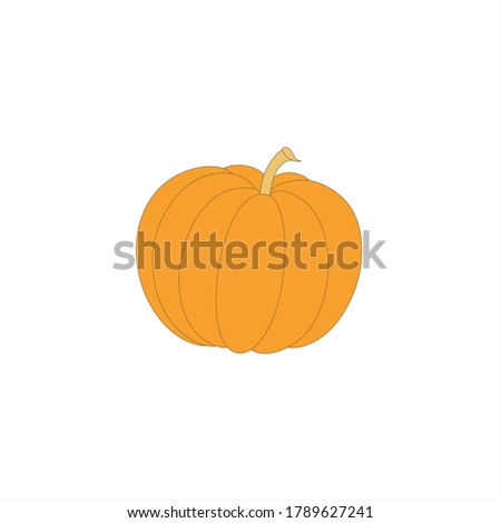 Orange pumpkin vector illustration. Isolated on white