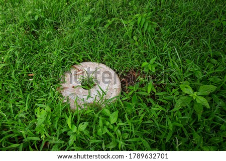 close view of white round granite stone isolated on green grass in field