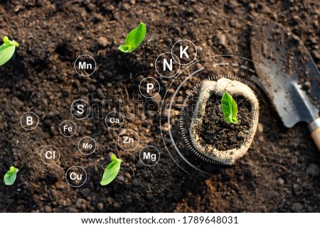 Corn seedlings grow from fertile ground and have technology icons about minerals in the soil suitable for crops. Royalty-Free Stock Photo #1789648031