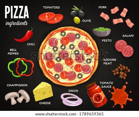 Pizzeria menu, pizza ingredients vector tomatoes, olive and pork, salami, pesto and ground meat with tomato sauce. Onion, cheese and champignon, bell pepper and chili, fast food pizza top view meal