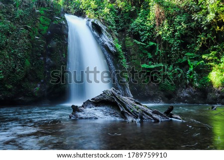 waterfall in the forest of Mount Kenya Royalty-Free Stock Photo #1789759910