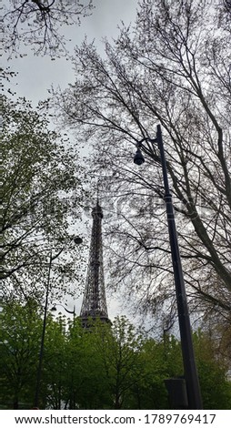 top of the eiffel tower seen through tree branches