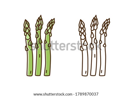 Tasty fresh asparagus monochrome and color set vector flat illustration. Natural dietary edible plant in line art style isolated on white. Cute icon of organic vegetable for healthy nutrition Royalty-Free Stock Photo #1789870037