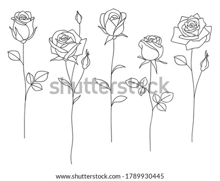 Set of decorative hand drawn roses isolated on white. Flower icon. Vector illustration