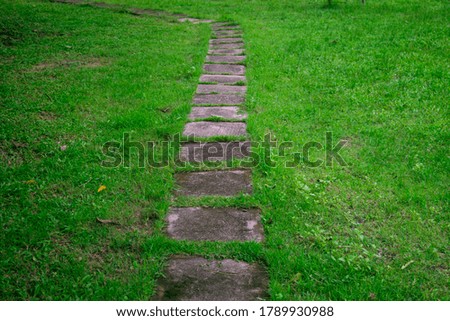 walking path with the beautiful fresh grass on the ground