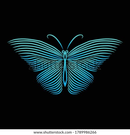butterfly line art vector illustration