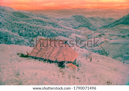Infrared picture, Wooden Cottage among a corn fields on the hills.