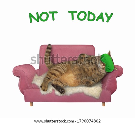 The beige lazy big cat in a green sleeping mask is lying on a pink sofa. Not today. White background. Isolated.