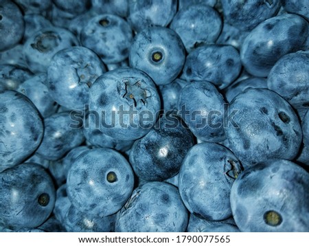 Bilberry, blue huckleberry, tall huckleberry, swamp huckleberry, high blueberry, and swamp blueberry. Food desktop background. Bog bilberry, bog blueberry, northern bilberry or western blueberry Royalty-Free Stock Photo #1790077565