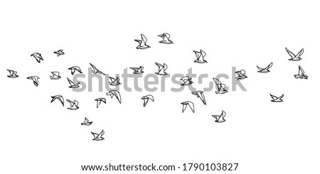 Flocks of flying birds isolated, Abstract line drawing on white background. Vector geometric sketch illustration