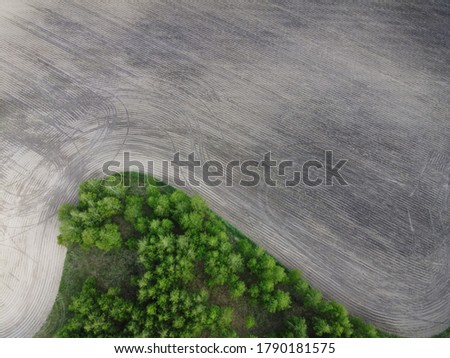 Green grove near a plowed agricultural field, aerial view.